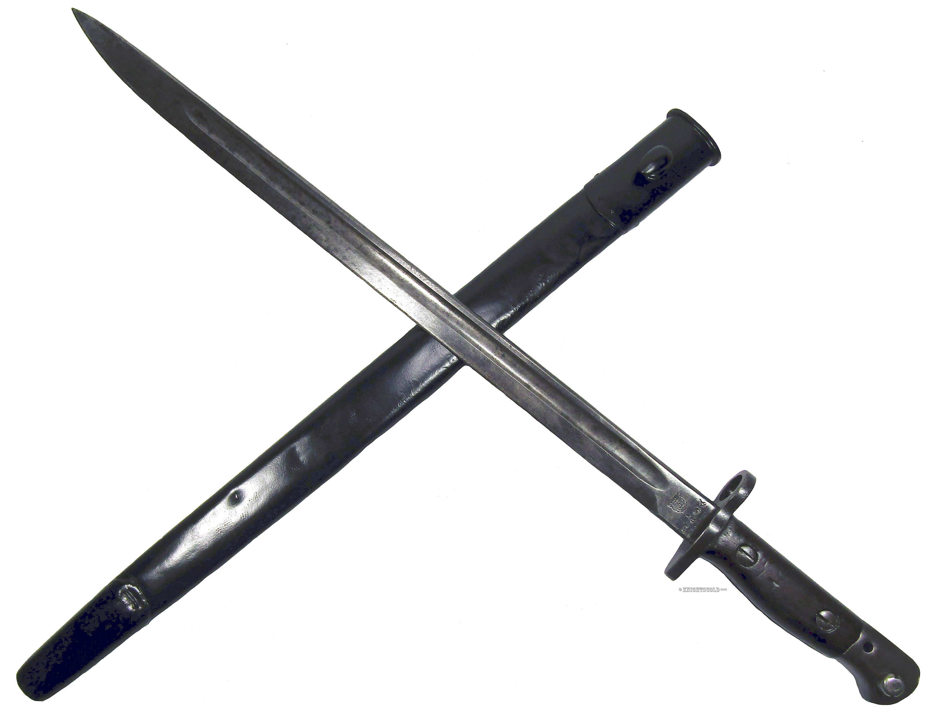SiamWildTigerBayoMetScabFeb24psd6500